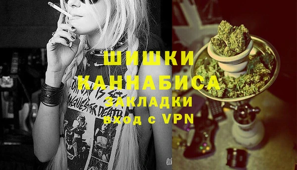 гидра Арсеньев