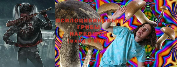 дмт Аркадак