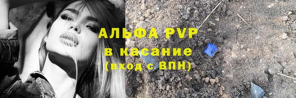 гидра Арсеньев