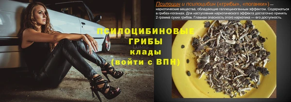 дмт Аркадак